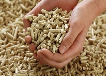 تحالف إنجليزي مصري