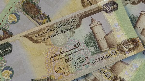 مساعدة مالية في الإمارات