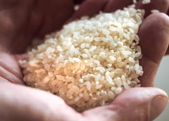 لن تصدق مقدار الزيادة الجديدة .. سعر الأرز الشعير اليوم في مصر الخميس 23 نوفمبر 2023