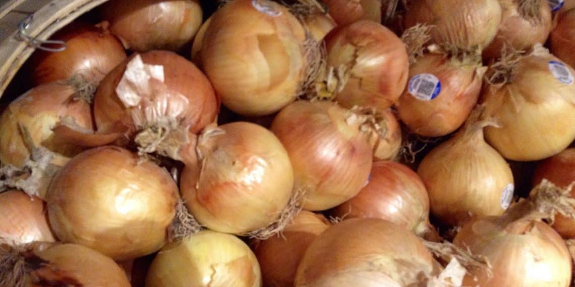 أسعار البصل والسكر في مصر