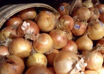 أسعار البصل والسكر في مصر