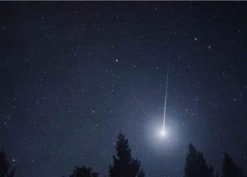 ذروة شهب الدبيات