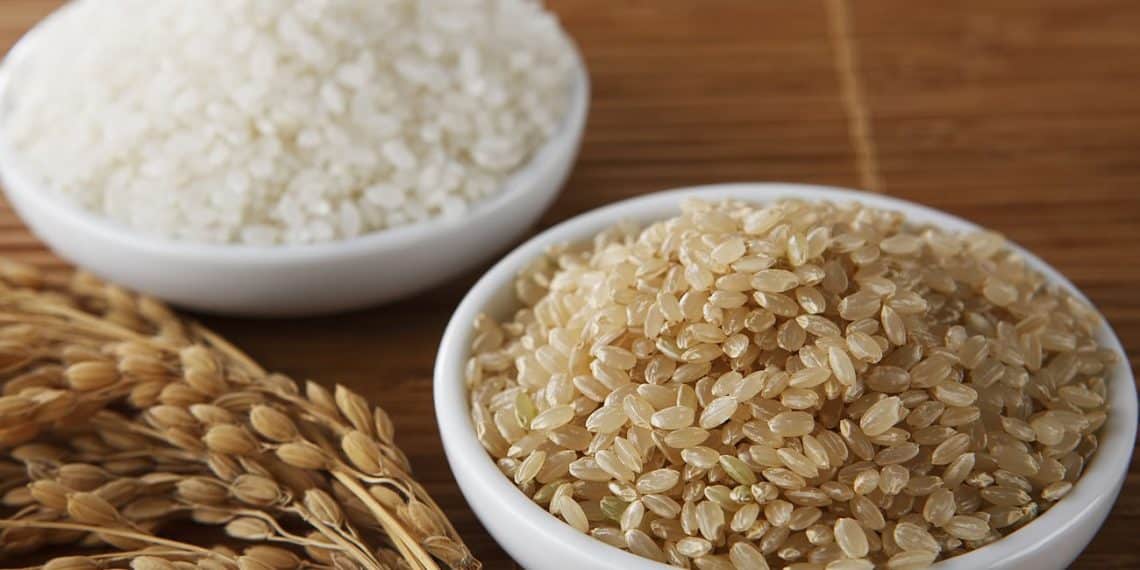 سعر الأرز الشعير اليوم في مصر