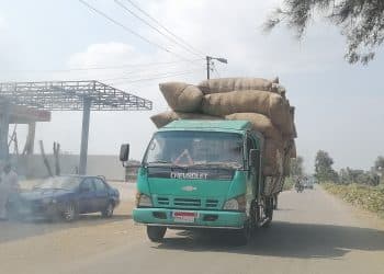 سعر قنطار القطن اليوم في مصر الأحد 7 يناير 2024 .. جيزة 94 يفرح جيوب المزارعين قبل قليل