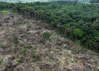 “بورصة نيويورك”  تُطلق بوابة جديدة للاستثمار في الأصول الطبيعية.. إليكم التفاصيل