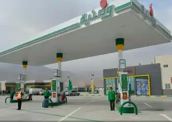 هالة السعيد تفجر مفاجأة حول عملية بيع شركة وطنية