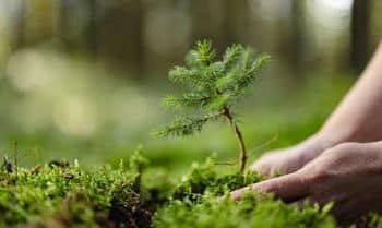 خبير سعودي يفجر مفاجأة سارة.. اليوم أي شيء تزرعه ينمو