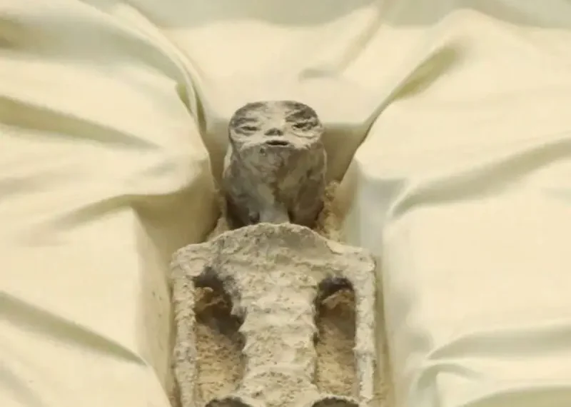 الكائنات الفضائية في الكونجرس المكسيكي