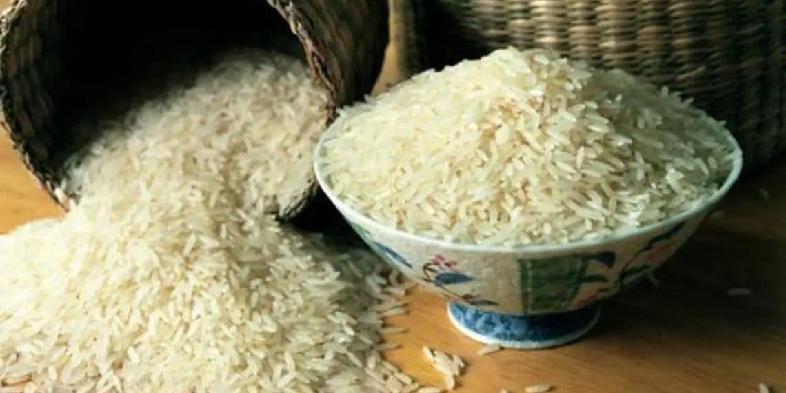 سعر الأرز الشعير اليوم في مصر