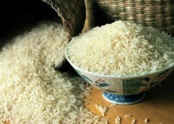 سعر الأرز الشعير اليوم في مصر السبت 28 أكتوبر 2023 … زيادة صادمة بالطن