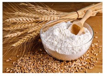 سعر أردب القمح