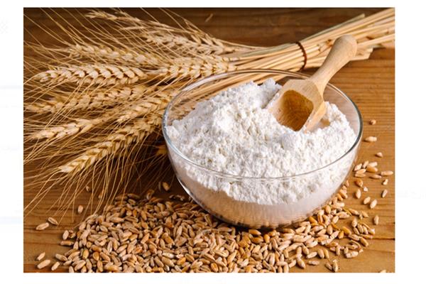 سعر أردب القمح