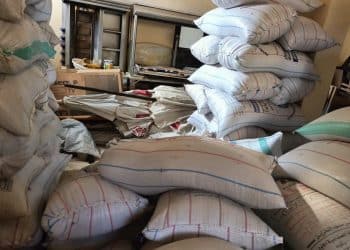 سعر الأرز الشعير اليوم في مصر الجمعة 29 ديسمبر 2023 .. ارتفاع أكثر من 1800 جنيه