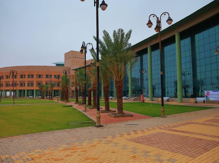 مصروفات جامعة بني سويف الأهلية