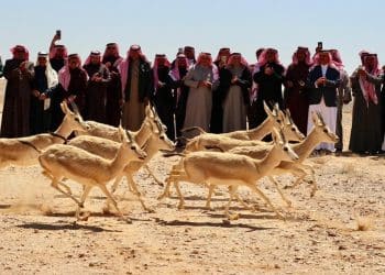 محمية الملك سلمان