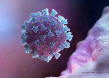 صورة بالمجهر لمتحور ايريس