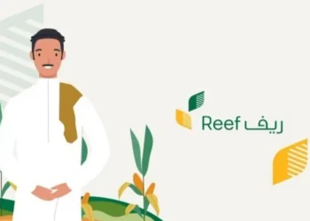 استعلام عن دعم ريف متي ينزل .. إليكم الخطوات وموعد صرف مستحقات ديسمبر 2023