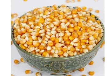 سعر طن الذرة اليوم في مصر السبت 28 أكتوبر 2023 .. ارتفاع أكثر من 200 جنيه بالطن