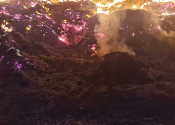 حريق الإسماعيلية الآن .. شاهد 5 أفدنة تتحول لقطع من جهنم