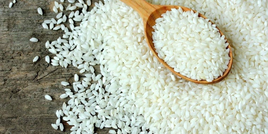 سعر الأرز الشعير اليوم في مصر