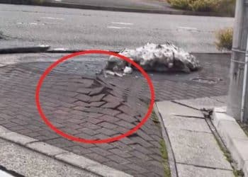 زلزال اليابان