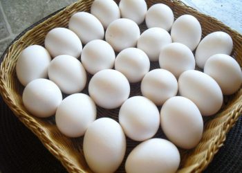 سعر كرتونة البيض اليوم في مصر