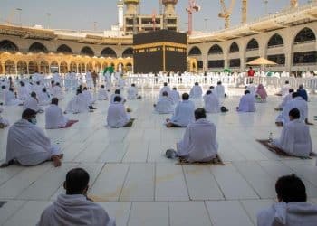 سعر الحج البري 2024