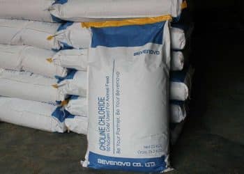 سعر الأعلاف اليوم في مصر الثلاثاء 12 ديسمبر 2023 ..تراجع 200 جنيه قبل قليل