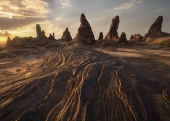 محمية الإمام فيصل بن تركي .. إليكم مكان وأسباب إقامتها في السعودية