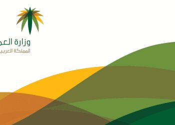 استعلام عن وافد نقل كفالة الجوازات