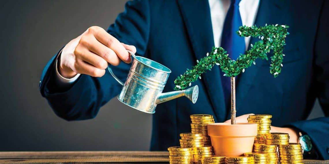 محفظة استثمارية