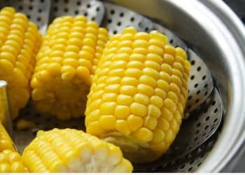 سعر الذرة اليوم في مصر الأثنين 9 أكتوبر 2023 .. فرحة عارمة للمزارع