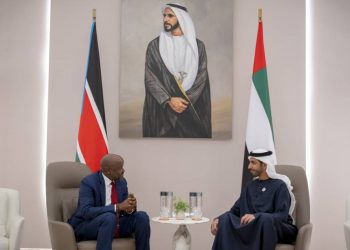 الإمارات وجنوب السودان… تعاون جديد لحماية النظام المالي الإقليمي