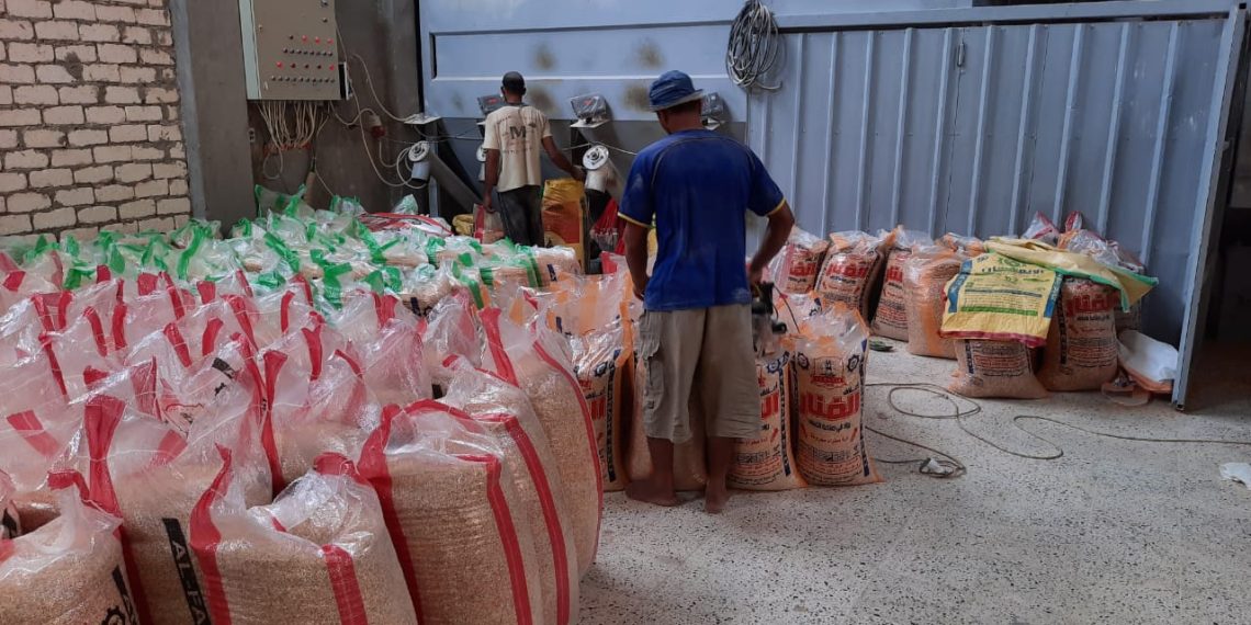 سعر الأعلاف اليوم في مصر