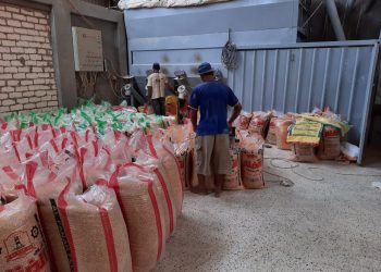 سعر الأعلاف اليوم في مصر الخميس 28 ديسمبر 2023 .. مفأجدة جديدة بعد الزيادة الكبيرة