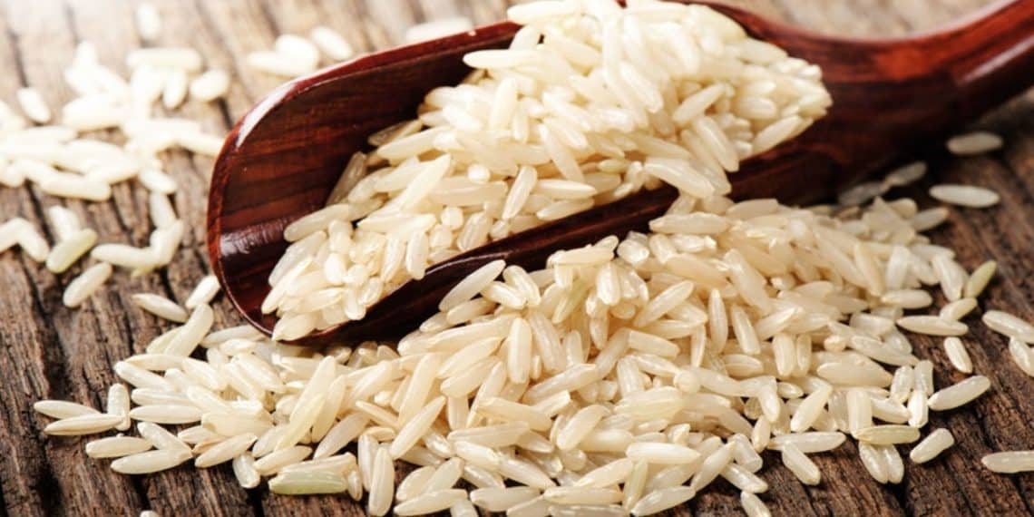سعر الأرز الشعير اليوم في مصر