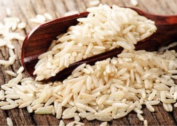 سعر الأرز الشعير اليوم في مصر السبت 28 أكتوبر 2023 … زيادة صادمة بالطن