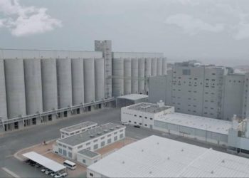 “بلومبرغ” تكشف عن موعد بدء اكتتاب المطاحن الحديثة وسعر السهم