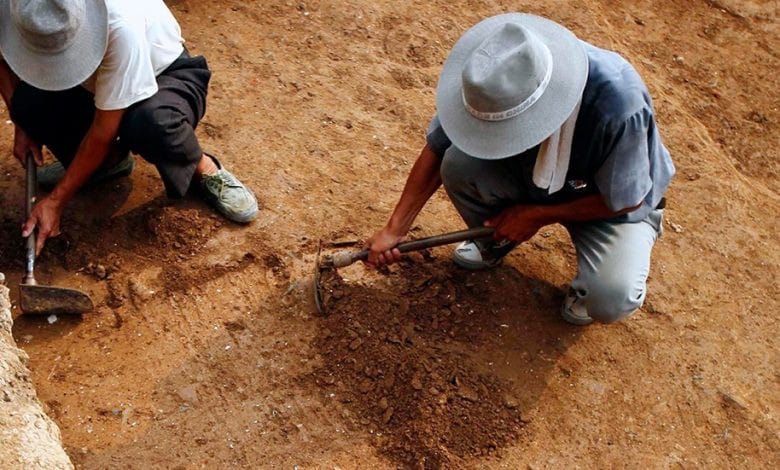 كنز عمره 3 آلاف عام