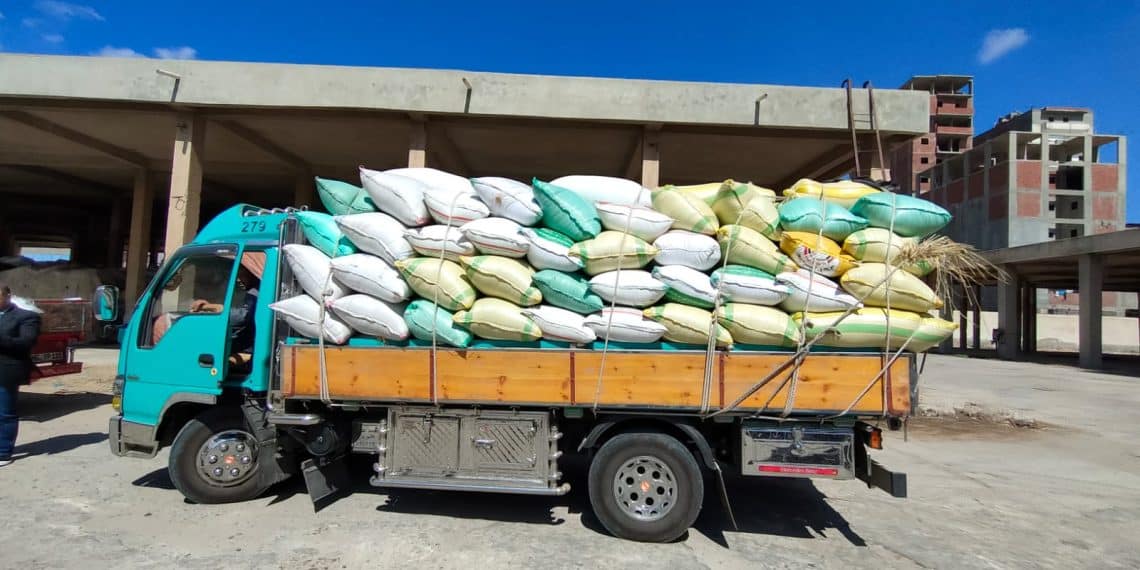 سعر الأرز الشعير اليوم في مصر