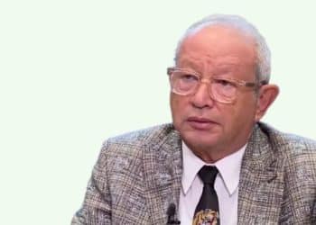 نجيب ساويرس