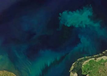 احدي المحيطات