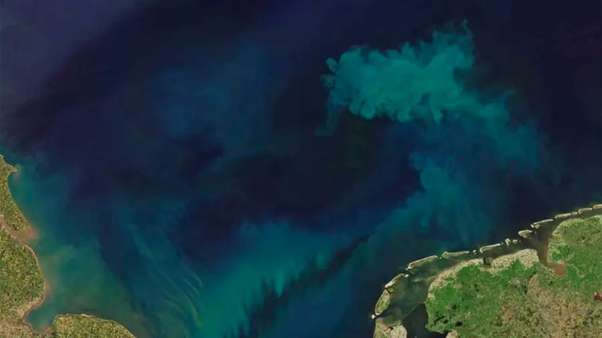 احدي المحيطات