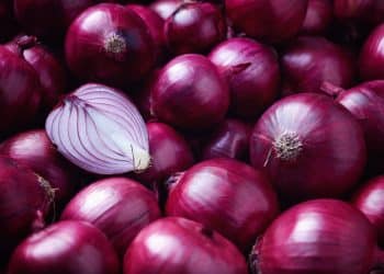 سعر البصل في السعودية 2024