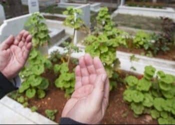 دعاء للأم المتوفاة في شهر رمضان .. ردد هذه الكلمات على لسانك الآن