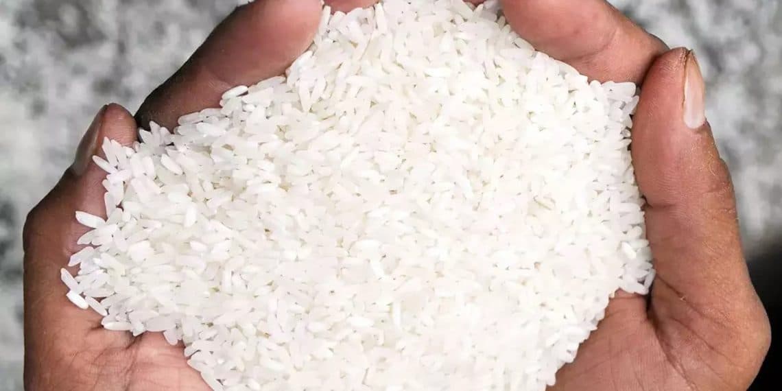 سعر الأرز الشعير اليوم في مصر