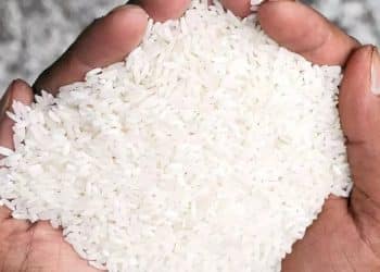 سعر الأرز الشعير اليوم في مصر الجمعة 27 أكتوبر 2023 .. مفاجأة مفرحة للمصريين