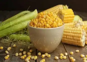 سعر طن الذرة الصفراء اليوم في مصر الجمعة 24 نوفمبر 2023 .. فرصة لا تعوض للمزارعين