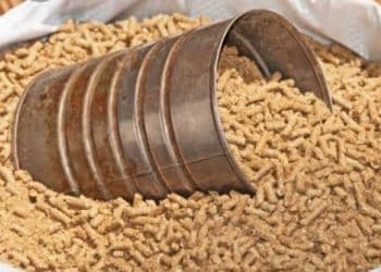 سعر الأعلاف اليوم في مصر الأثنين 30 أكتوبر 2023 .. تذبذب ببداية التعاملات