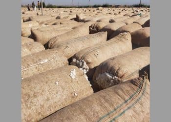 سعر قنطار القطن اليوم في مصر الأربعاء 27 ديسمبر 2023 .. الإعلان عن قرار مفرح للفلاحين